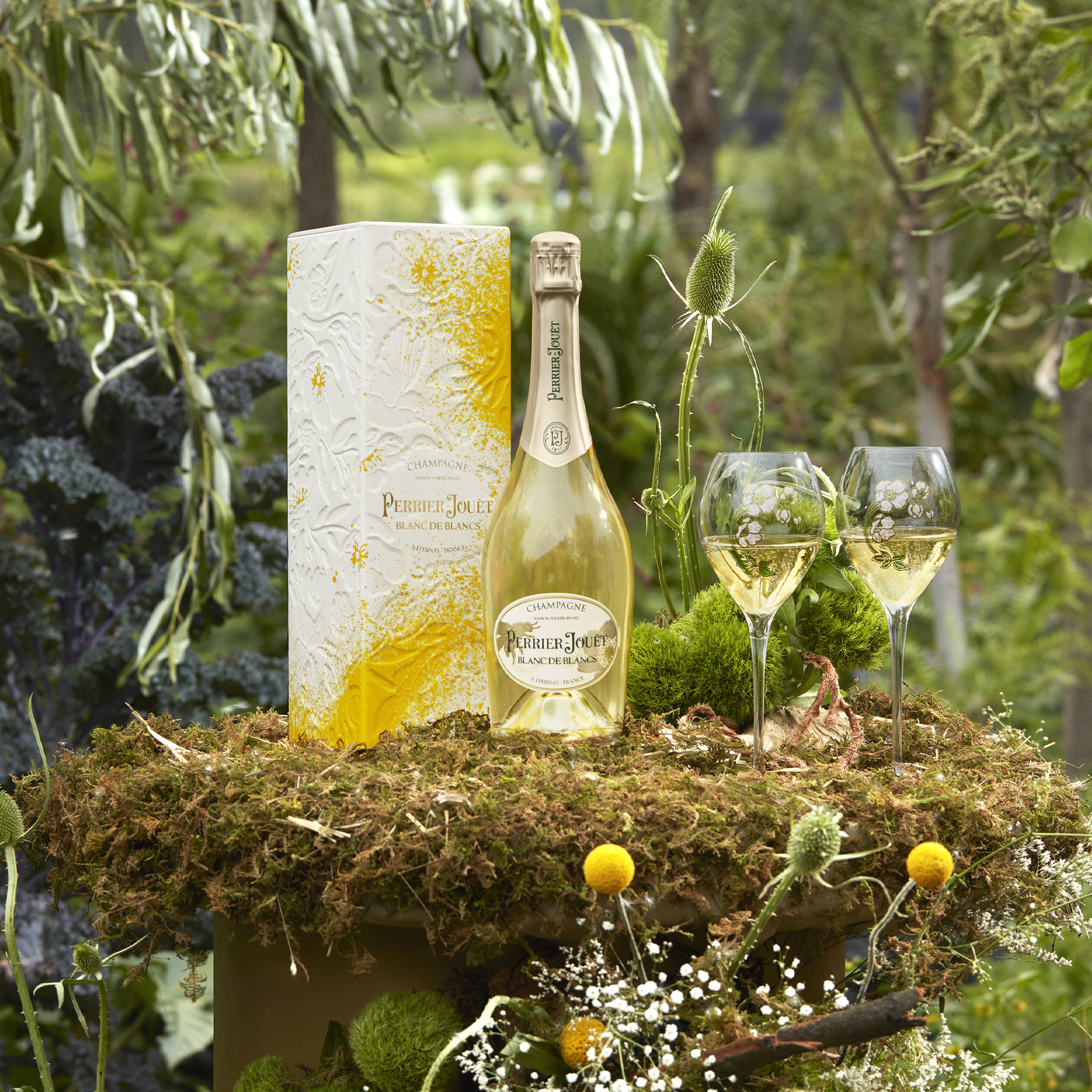 Ecobox Fernando Laposse Blanc de Blancs