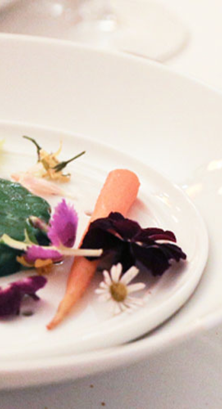 Gastronomy Maison Belle-Epoque