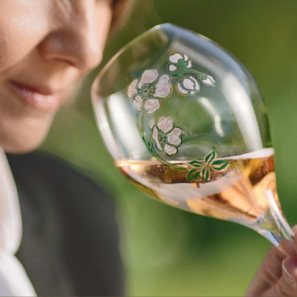 BE rose 2013 video